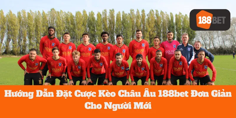Hướng Dẫn Đặt Cược Kèo Châu Âu 188bet Đơn Giản Cho Người Mới 8 Hướng Dẫn Đặt Cược Kèo Châu Âu 188bet Đơn Giản Cho Người Mới